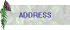 ADDRESS