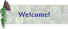 Welcome!