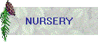 NURSERY